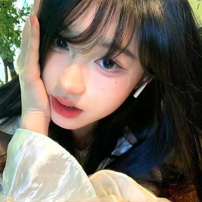 燕子盗